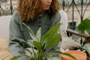 artículos Tipps für den eigenen Gemüsegarten – Einfach umsetzbare Ratschläge für die eigene Lebensmittelproduktion zu Hause