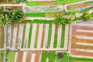 artículos Nachhaltige Landwirtschaftstechniken: Moderne Methoden für ressourcenschonende und ertragreiche Lebensmittelproduktion