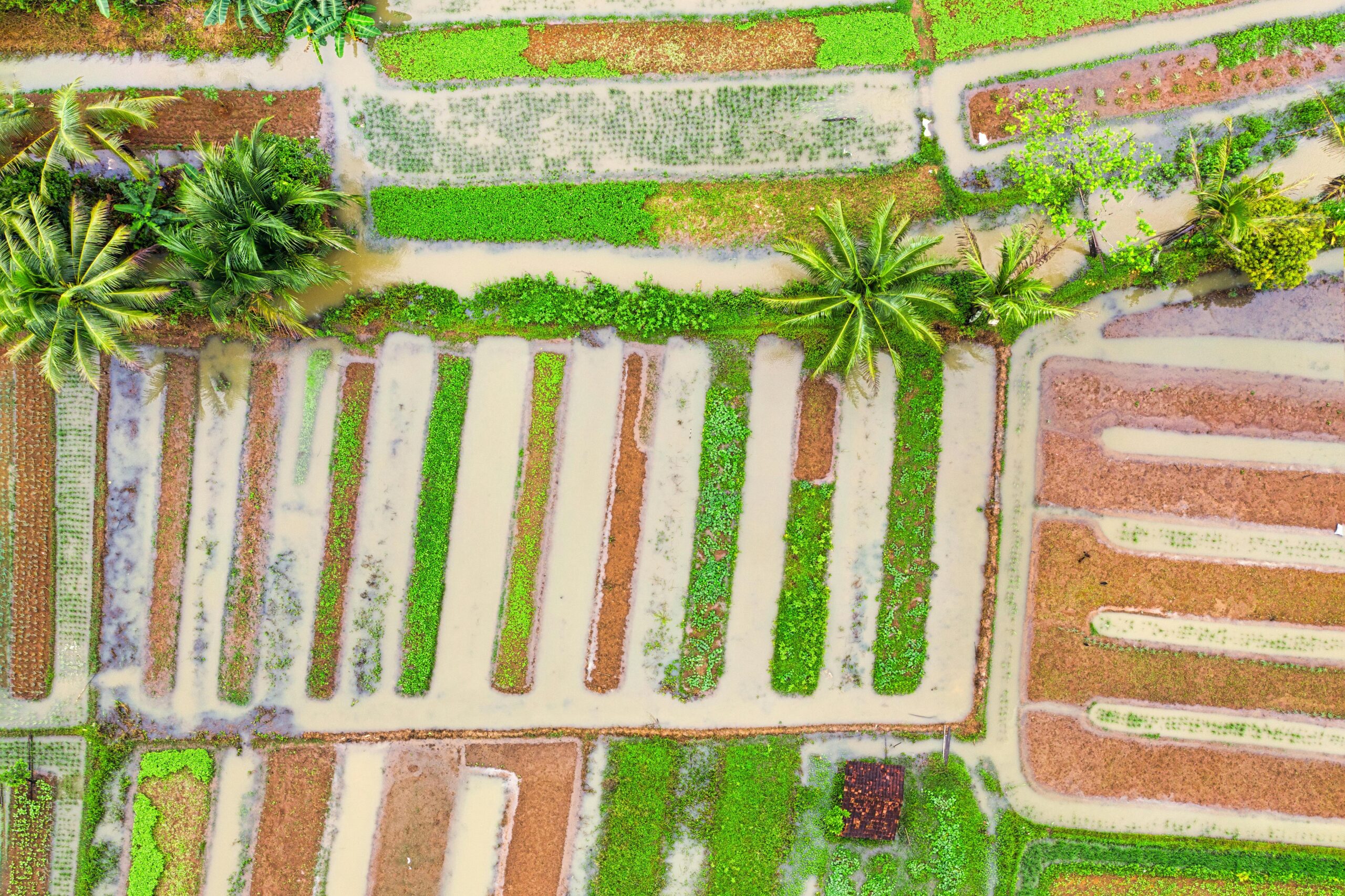 artículos Nachhaltige Landwirtschaftstechniken: Moderne Methoden für ressourcenschonende und ertragreiche Lebensmittelproduktion
