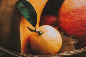 artículos Vorteile des Bio-Anbaus – Warum biologischer Anbau besser für Gesundheit und Umwelt ist