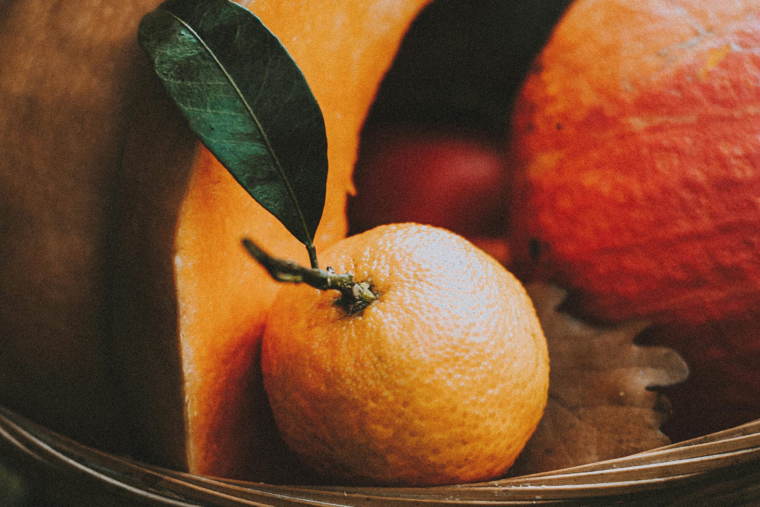 artículos Vorteile des Bio-Anbaus – Warum biologischer Anbau besser für Gesundheit und Umwelt ist